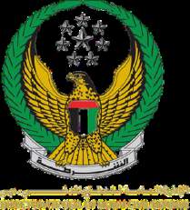 Government of Dubai emblem